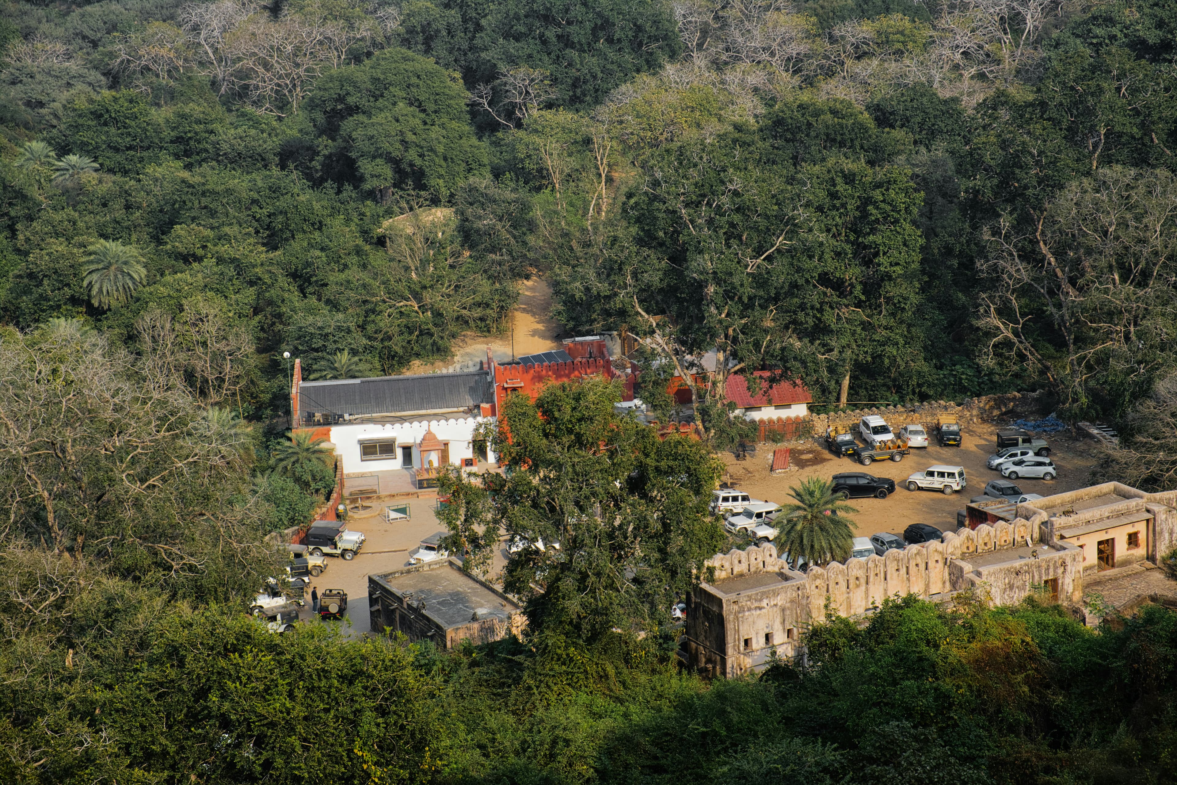 Ranthambore